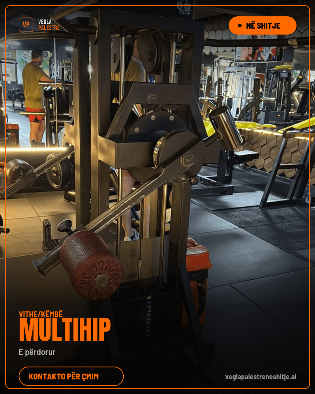 Multihip